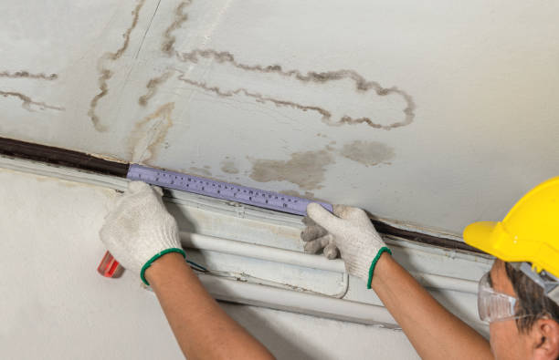 Reliable Sewage Cleanup contractor in Coalton, OH by Water Damage Irwin